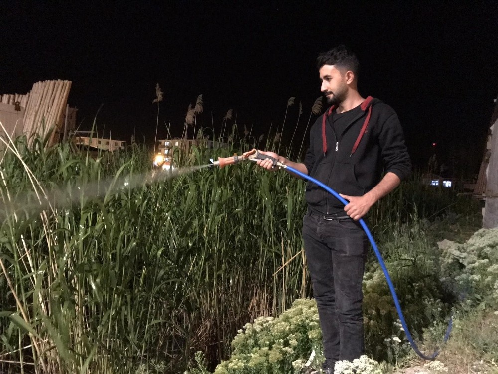 Çaldıran Belediyesinden haşereyle mücadele çalışması 