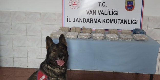 Van'ın Çaldıran ilçesinde 15 kg erpn ele geçirildi