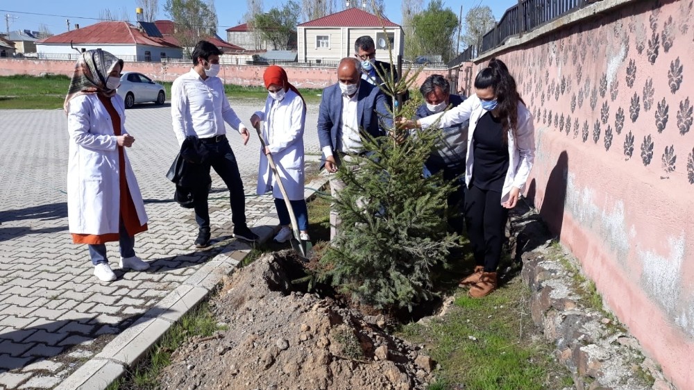 Çaldıran’da kahraman sağlıkçılar için fidan dikildi 