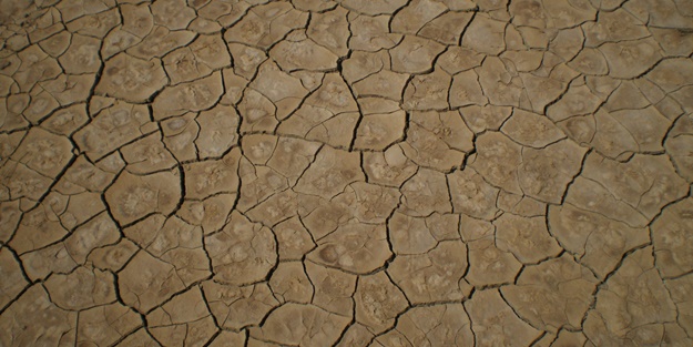 California’da kuraklık sorunu büyük oranda çözüldü