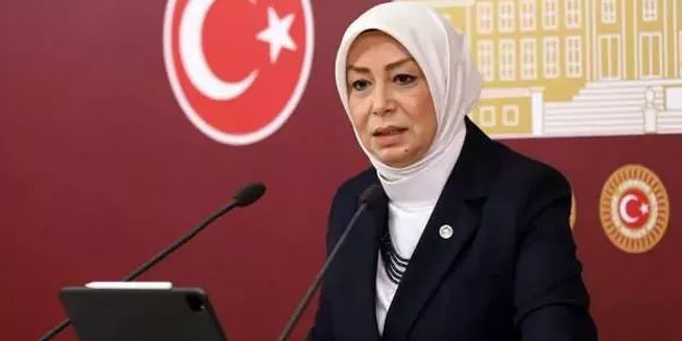 Çalık, terör sevici HDP'li Buldan'la yaptığı görüşmeyi anlattı