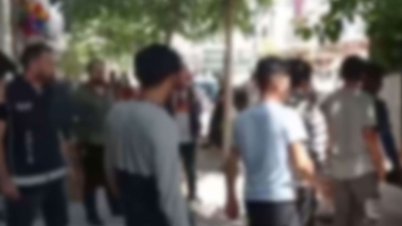 Çalılık alanda gizlenen 10 düzensiz göçmen yakalandı