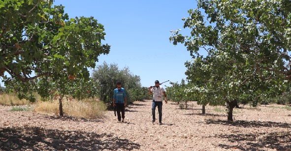 Çalışacak eleman yok! Burada durmanın günlüğü 1000 tl