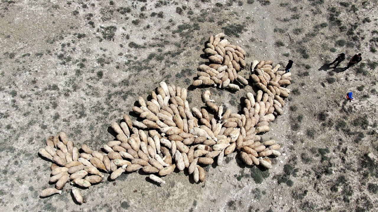 Çalıştıracak kimseyi bulamıyorlar! 100 bin lira maaş bile çare olmadı