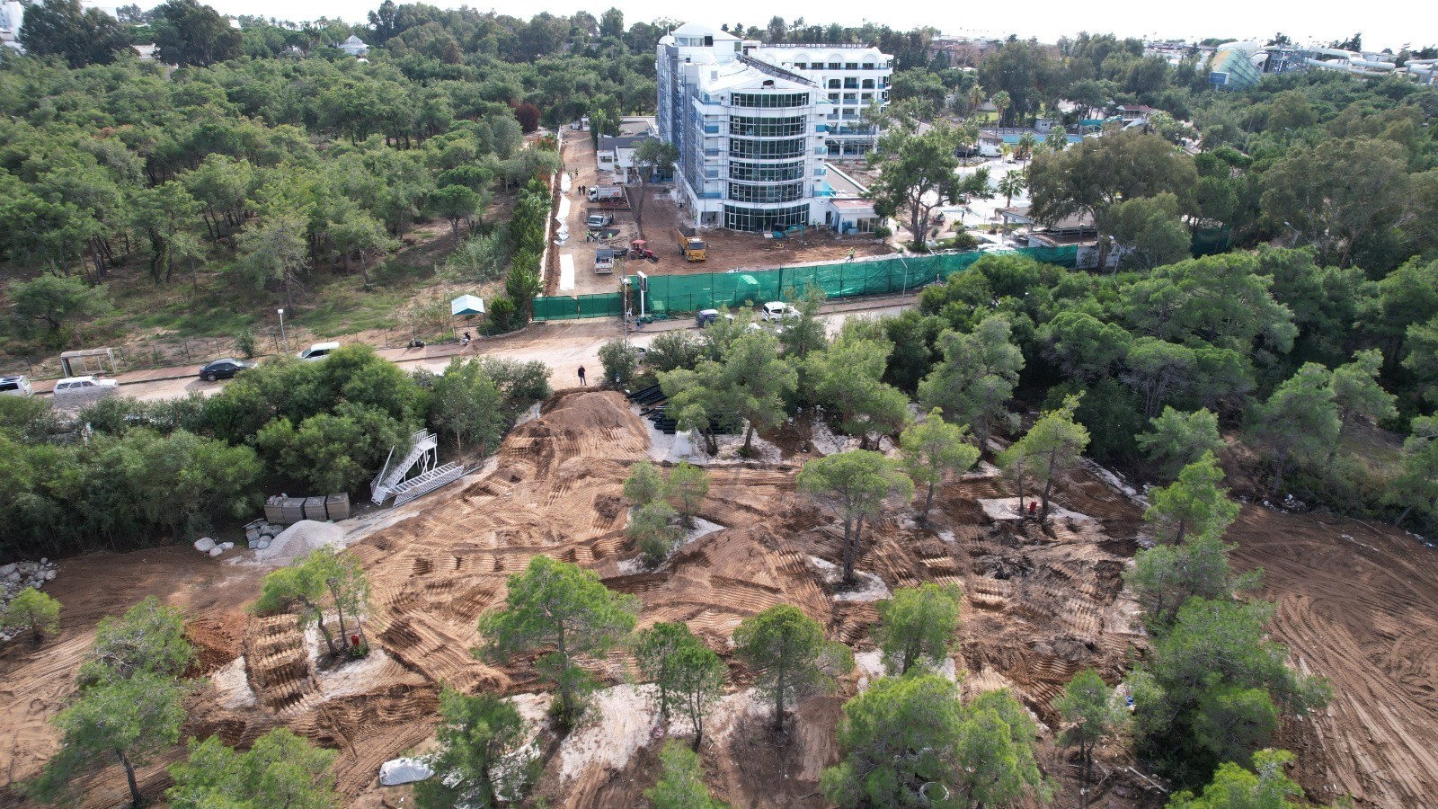 Çam ağaçlarını kesip yerine egzotik ağaçlar diktiler!