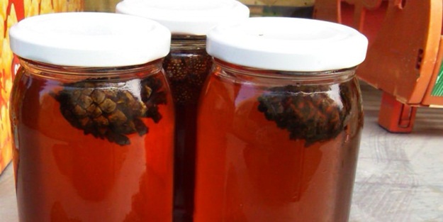 Çam kozalağı reçel oluyor