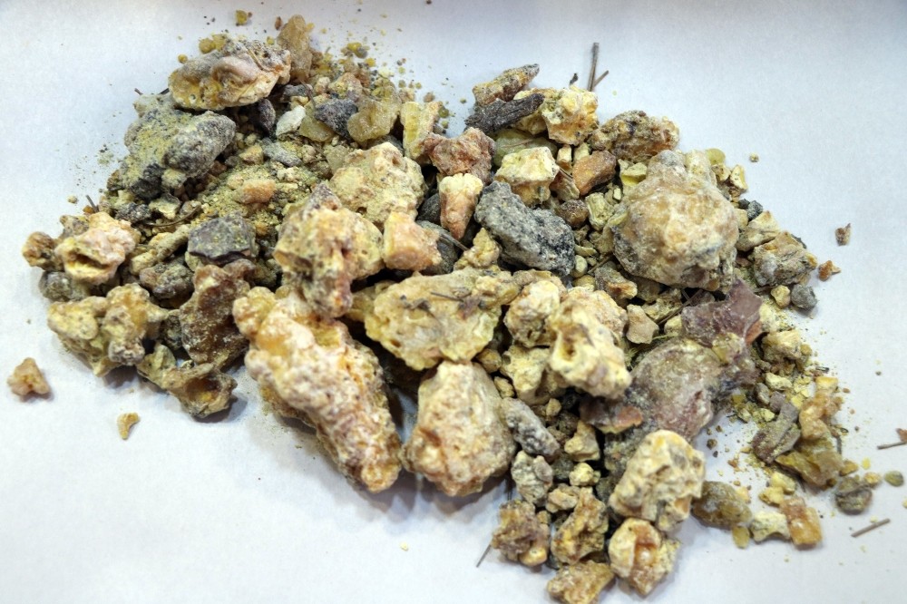 Çam sakızı şifa dağıtıyor 