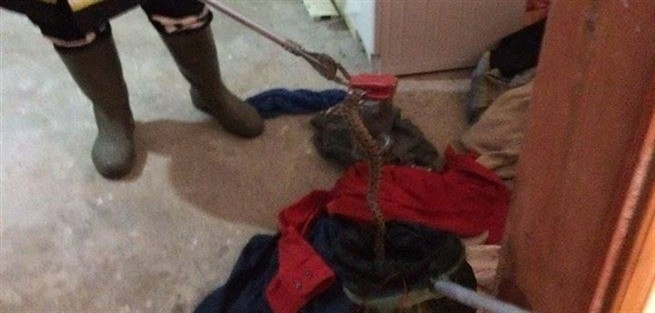 Çamaşır sepetinden yılan çıktı!