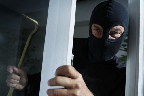 Duvarı kırdılar, keçiyi ve güvercinleri çaldılar