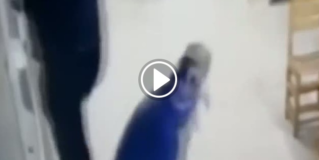 Camı açık unutulan dükkana girdiler