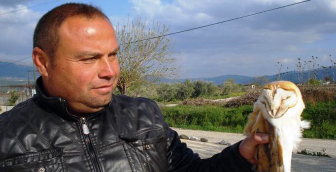 Cami avlusunda peçeli baykuş yakaladı