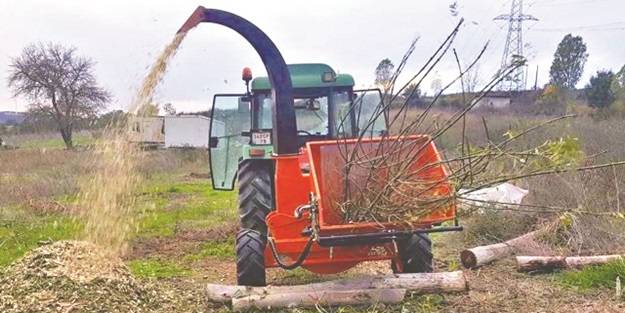 Cami karşıtı Nesin'e mason desteği
