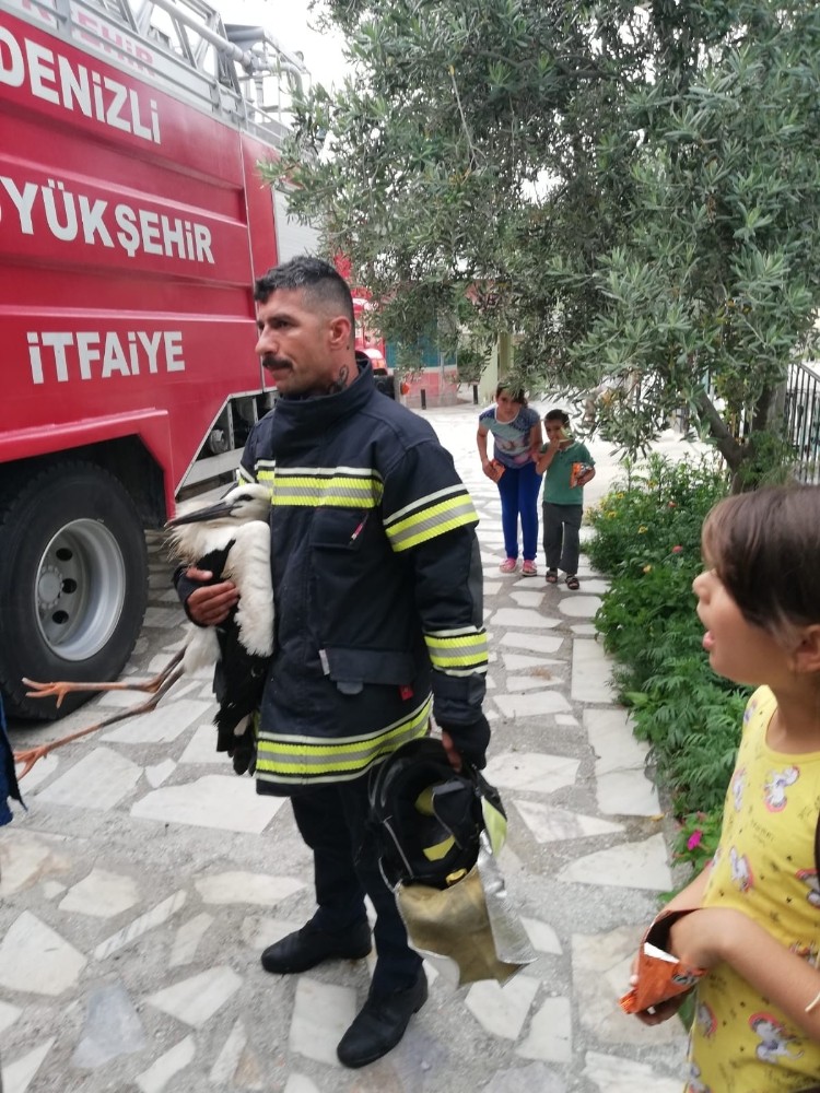 Cami kubbesinden bacağından sıkışan leyleği itfaiye kurtardı 