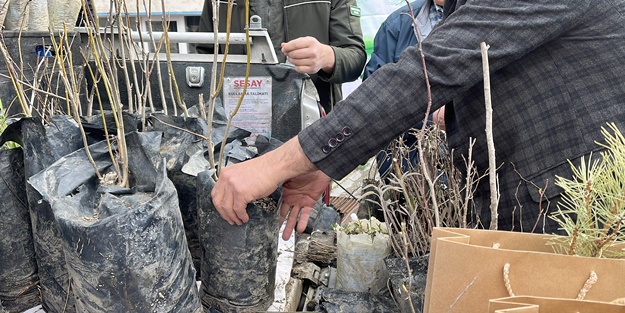 Camide vatandaşlara 3 bin fidan