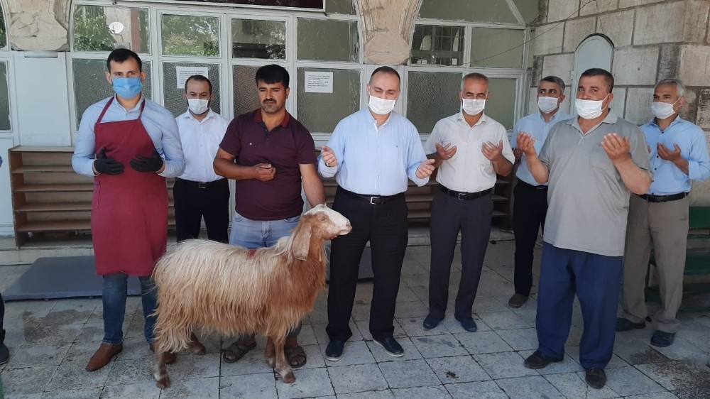 Camiler şükür için hayvan kesilerek ibadete açıldı 