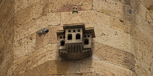 Camilerde neden kuş evi bulunur? Sebebi herkesi şaşırtacak