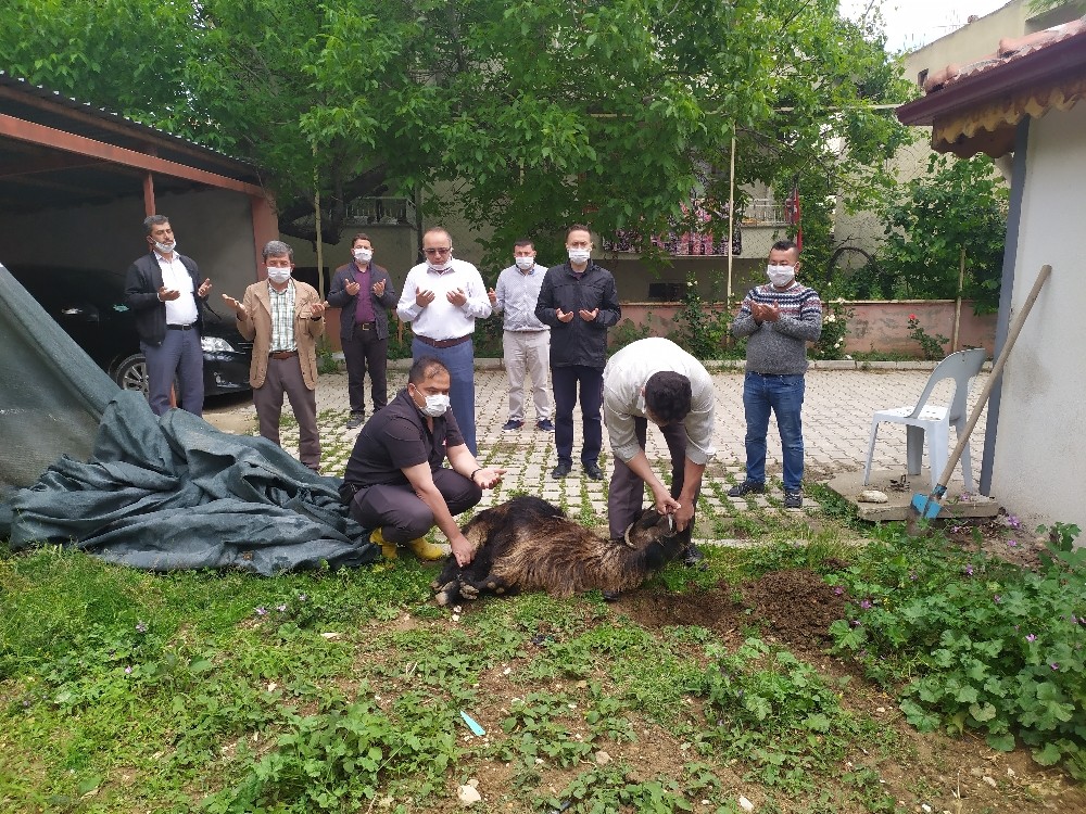 Camilerin ibadete açılmasıyla şükür için hayvan kesildi 