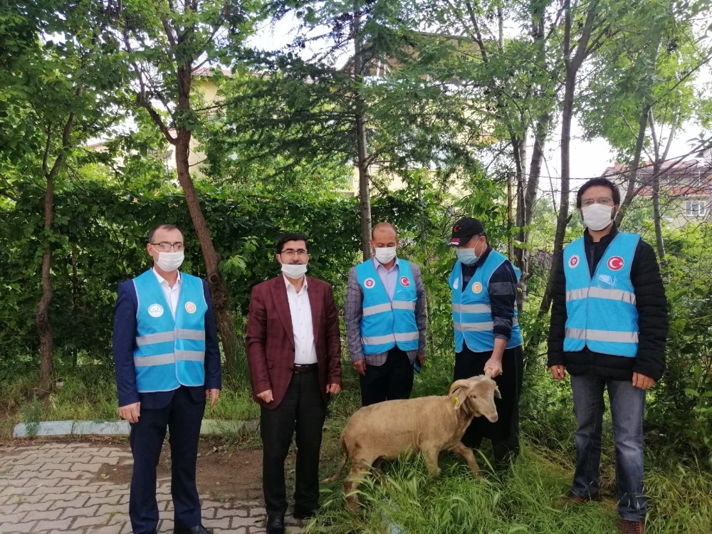 Camilerin yeniden açılışında şükür kurbanı kesildi 