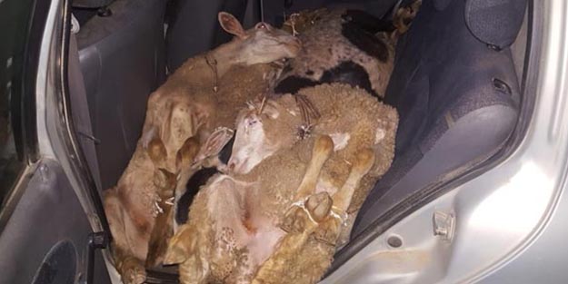 Çamura saplanmış aracın kapılarını açan ekipler şoke oldu!