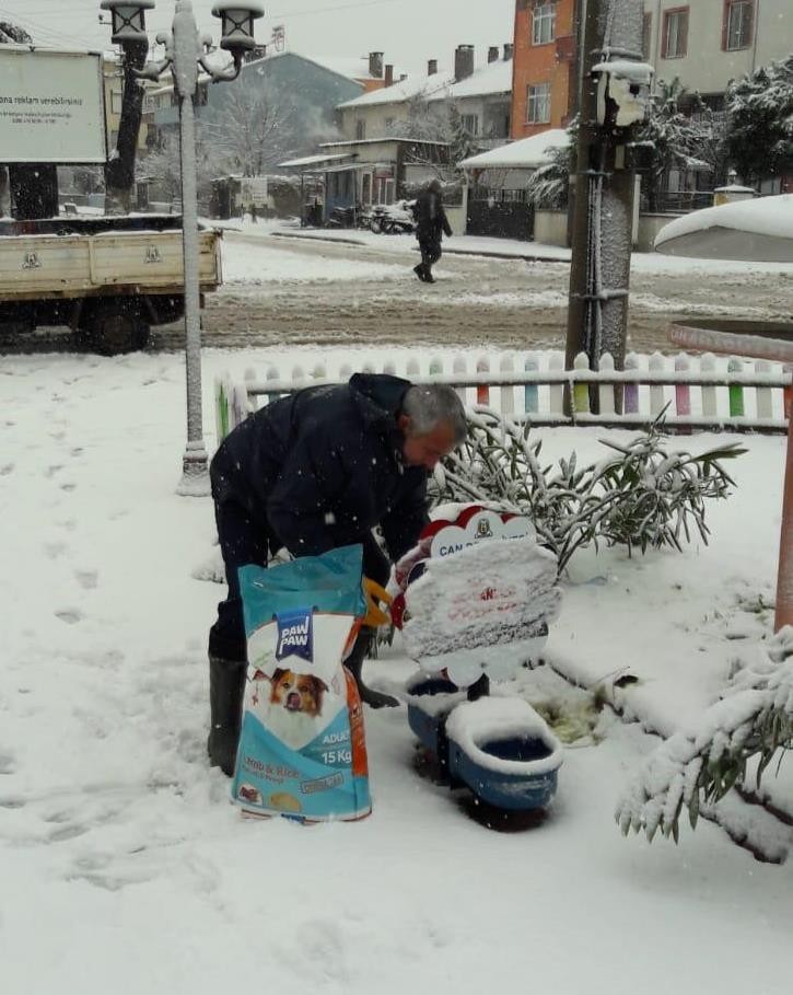 Çan Belediyesi sokak hayvanlarını unutmadı 