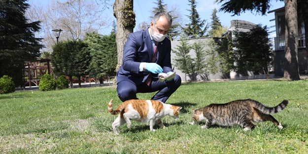 Can dostlara 62 ton mama