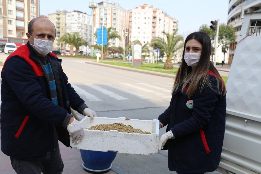 Can dostlara mama dağıttılar 
