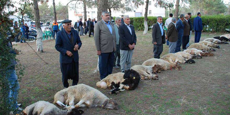 Can kaybı olmadığı için şükür kurbanı kestiler