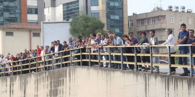 Can pazarı yaşanırken meraklılar...