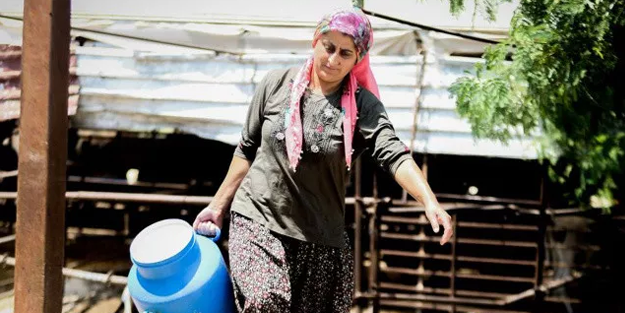 Can sıkıntısı diye başladı, 5 milyonluk servetin sahibi oldu