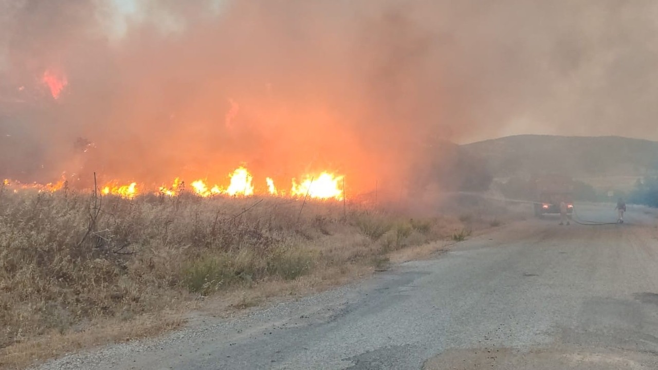 Çanakkale Ayvacık’ta tarım arazisinde yangın