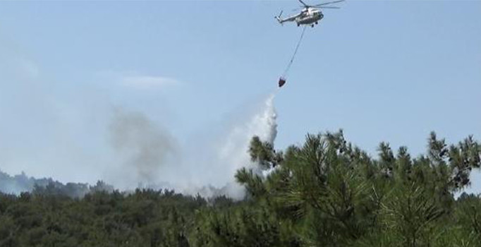 Çanakkale Bayramiç'te orman yangını