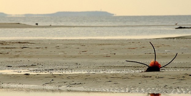 Çanakkale Boğazı'nda 'gelgit'