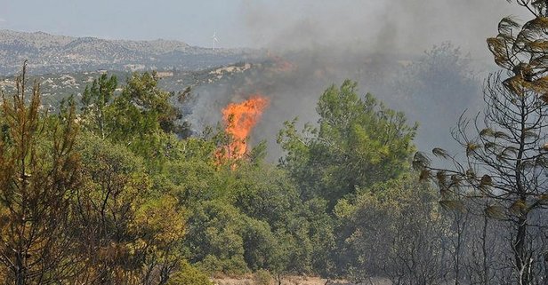 Çanakkale Ezine’deki orman yangınında müjdeli haber