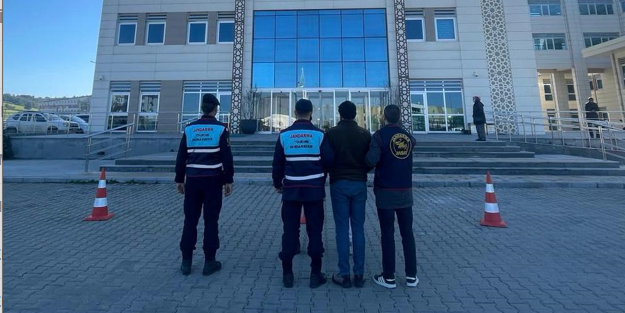 Çanakkale'de 1 koç ve 3 koyun çalan 2 şüpheli jandarma tarafından yakalandı