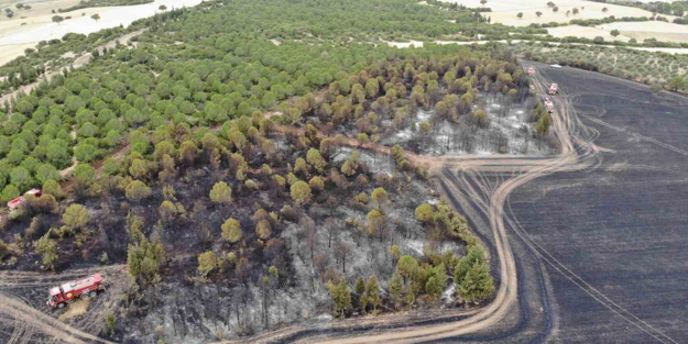 Çanakkale'de 132 yangın! Fotoğraflar yangının iç yüzünü böyle ortaya çıkardı