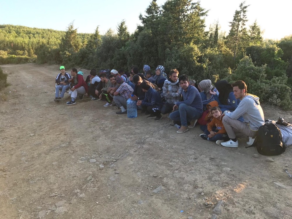 Çanakkale’de 31 mülteci yakalandı 