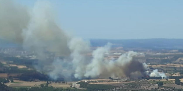 Çanakkale’de bir orman yangını daha