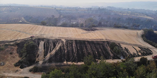Çanakkale'de çıkan orman yangınına müdahale devam ediyor! AFAD korkutan gelişmeyi açıkladı
