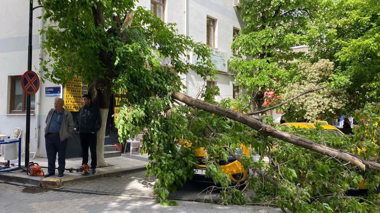 Çanakkale’de fırtına maddi hasar açtı! Ağaç dalı araçların üzerine devrildi