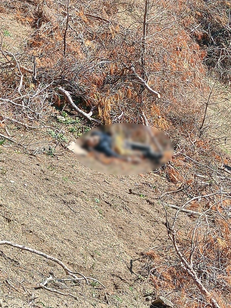 Çanakkale’de kayıp şahıs ölü bulundu 