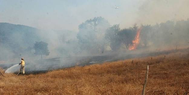 Çanakkale'de korkutan orman yangını