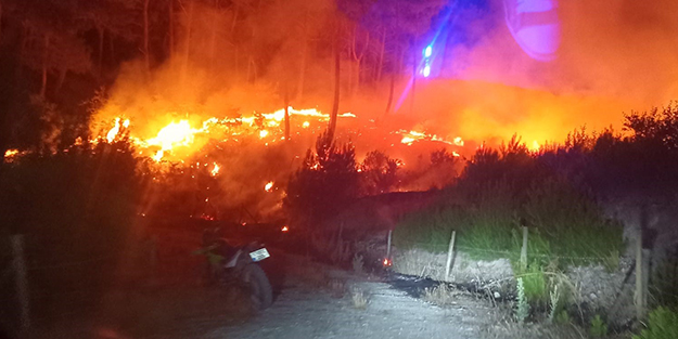 Çanakkale'de korkutan orman yangını!
