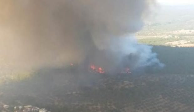 Çanakkale'de korkutan yangın: Çok sayıda ekip bölgede