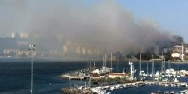 Çanakkale'de korkutan yangın!