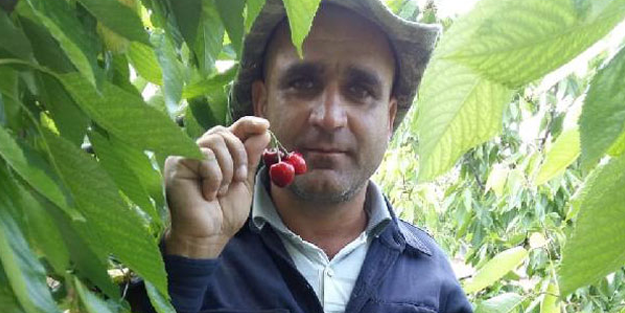 Çanakkale'de kuduz alarmı! Türkiye'ye gelmeden önce...