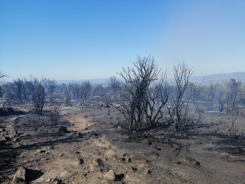 Çanakkale’de makilik yangını 