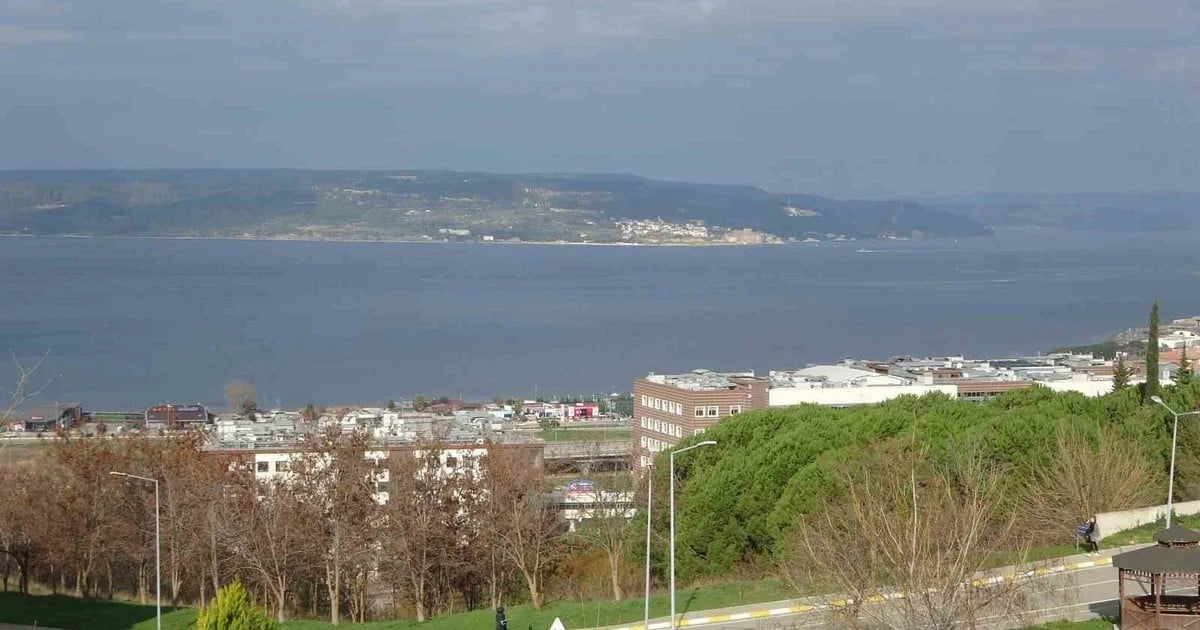 Çanakkale'de mavi denizanası uyarısı: Temas suda hissedilmiyor, acı karada başlıyor