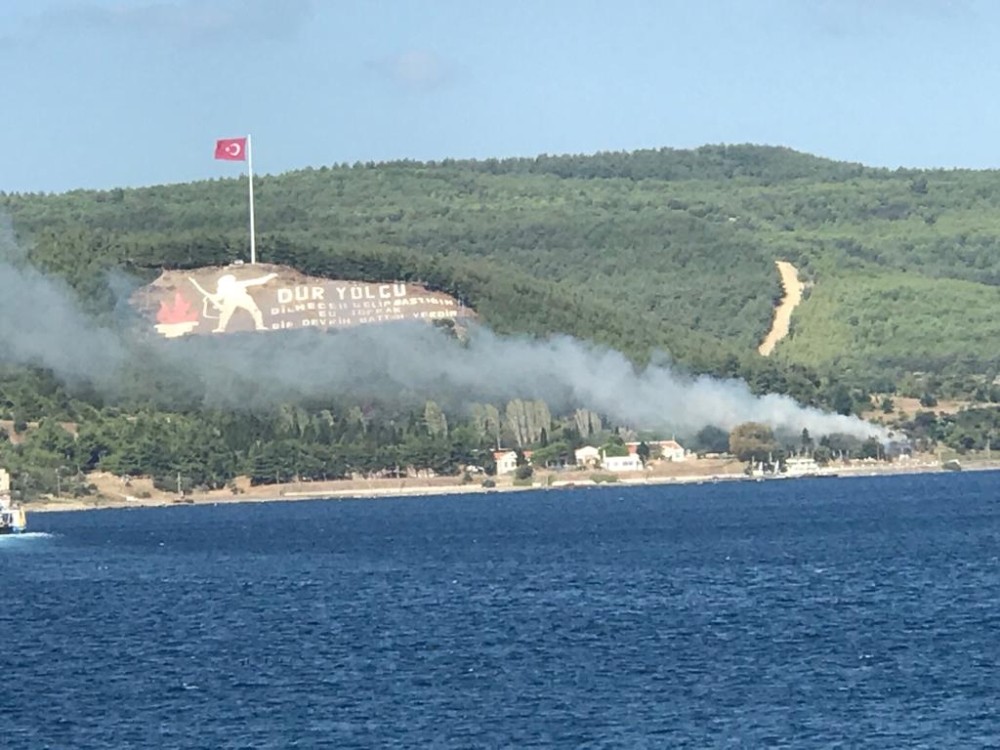 Çanakkale’de orman yangını 