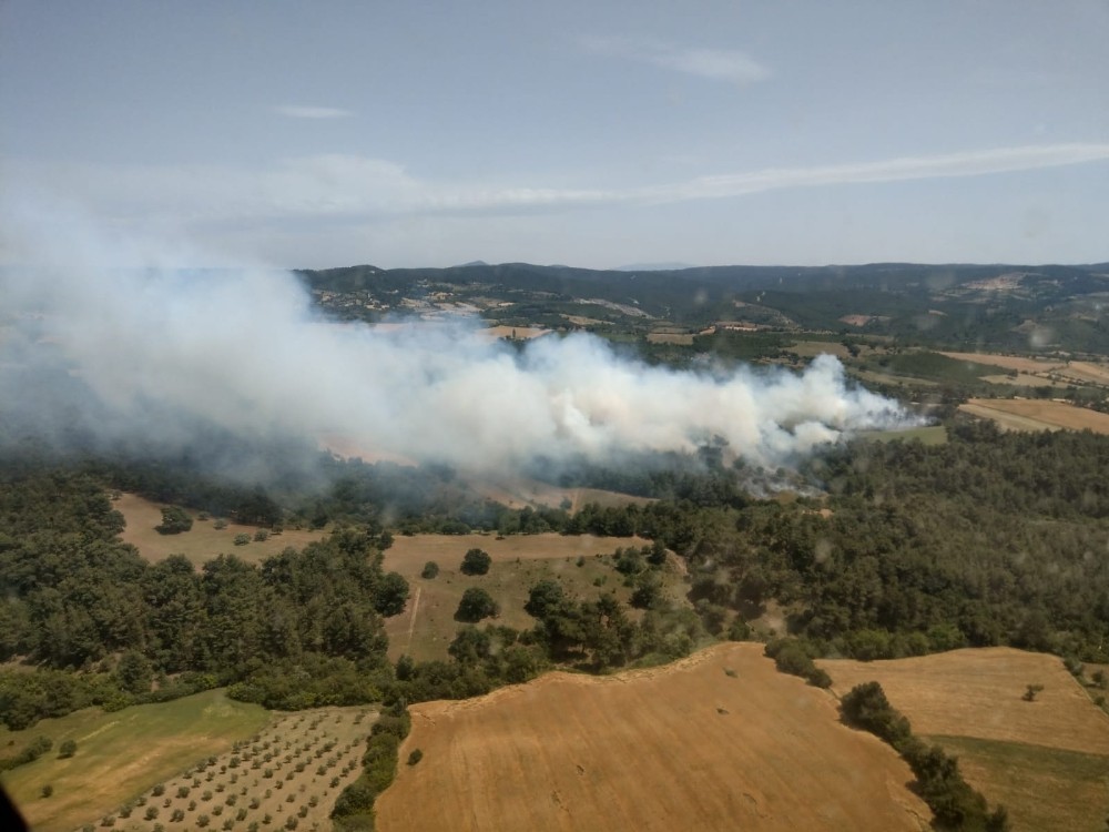 Çanakkale’de orman yangını 