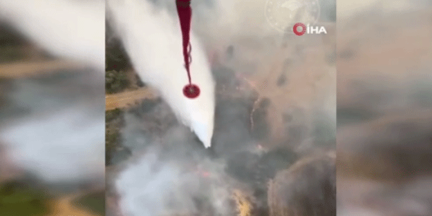Çanakkale'de orman yangını! Bakan Yumaklı'dan açıklama geldi